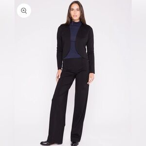 Ripley Rader Black Ponte Knit Straight Leg  Pant size 2